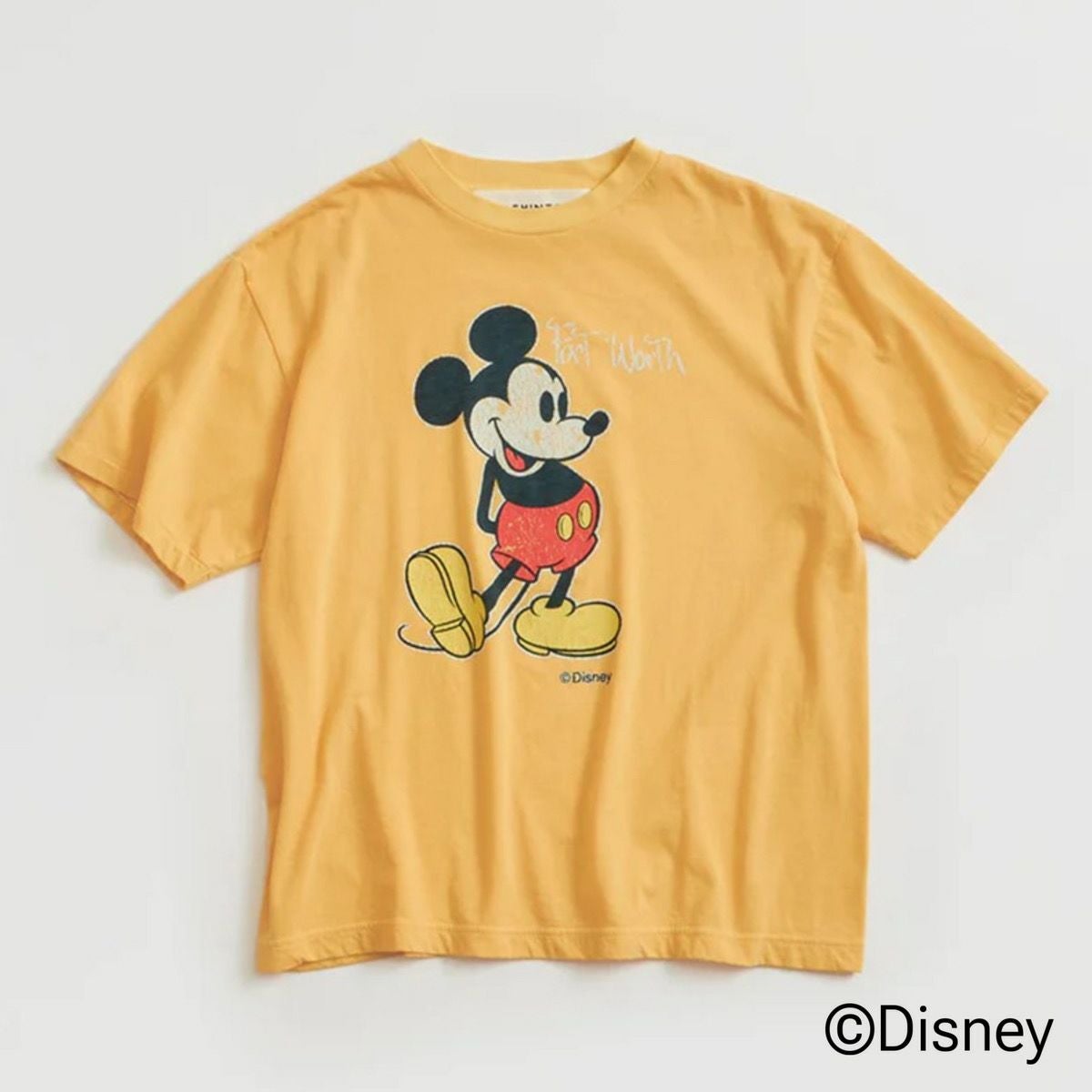 THE SHINZONE/シンゾーン】MICKEY TEE・23AMSCU05 | GEOGRAPHY online